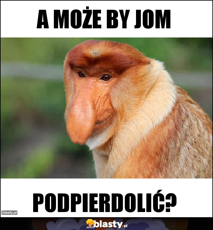 A może by jom