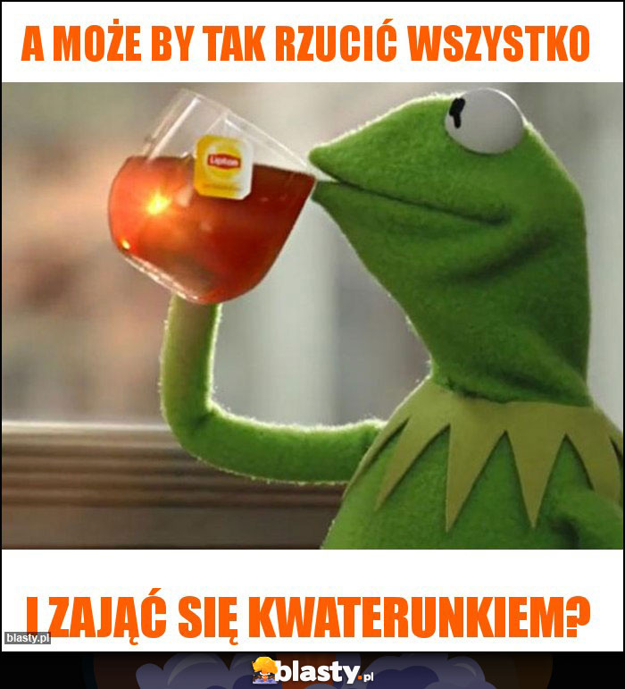 A może by tak rzucić wszystko