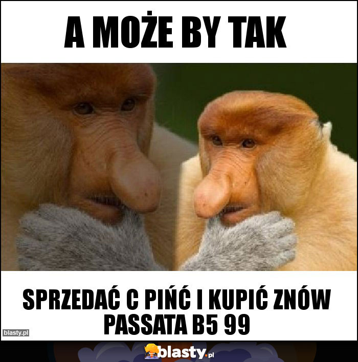 A może by tak