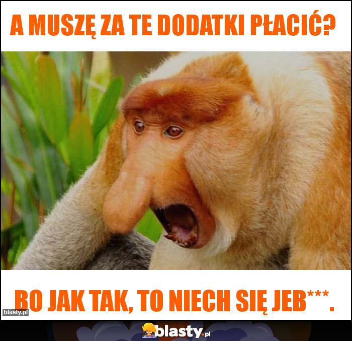 A muszę za te dodatki płacić?