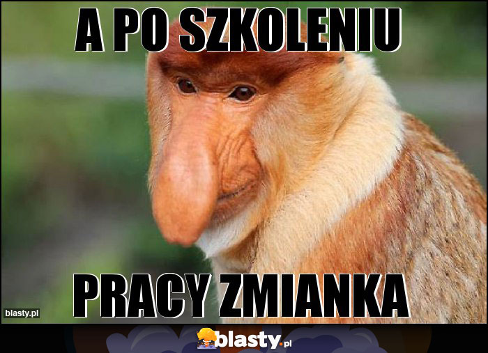 a po szkoleniu