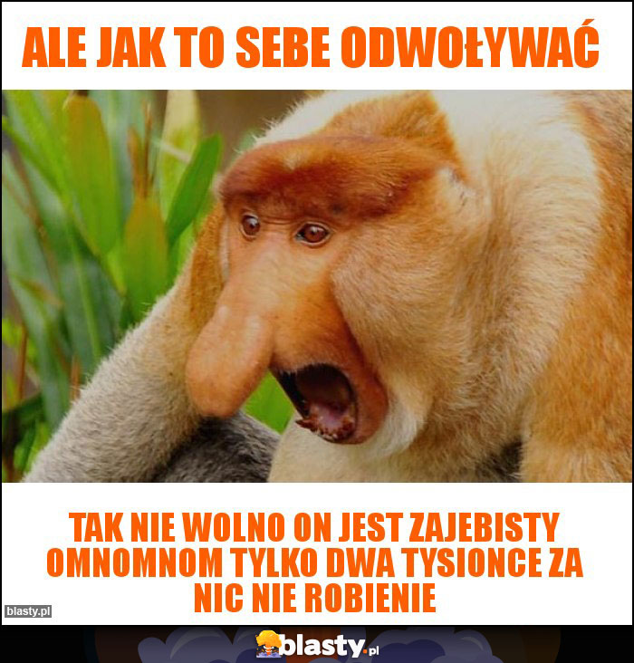 ALE JAK TO SEBE ODWOŁYWAĆ