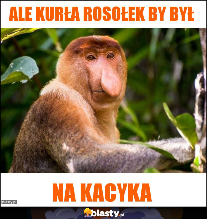 Ale kurła rosołek by był