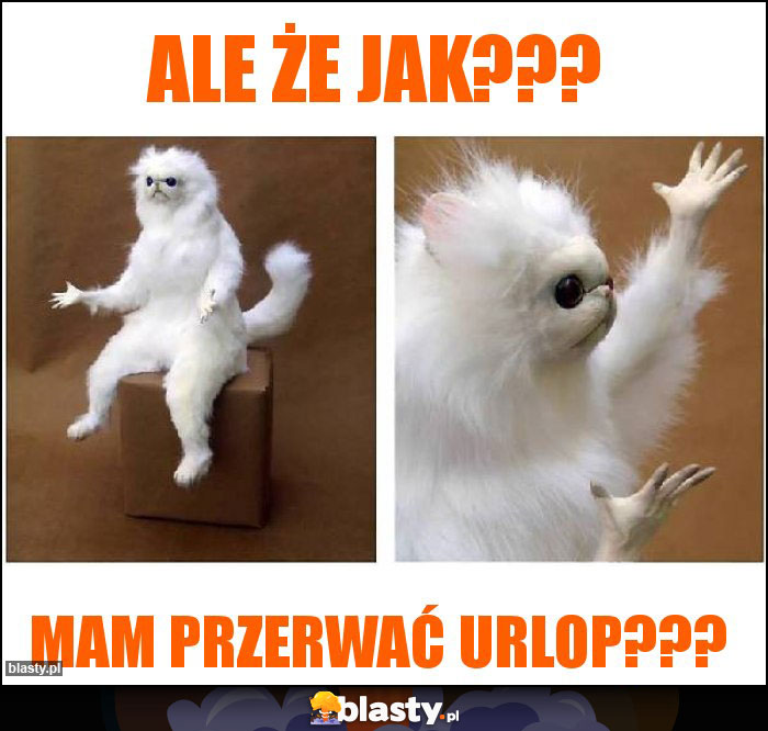 Ale że jak???