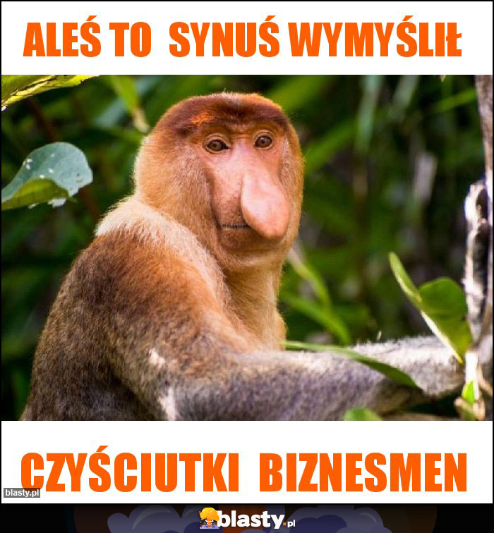 Aleś to  synuś wymyślił