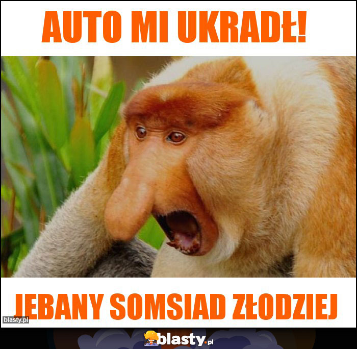 Auto mi ukradł!