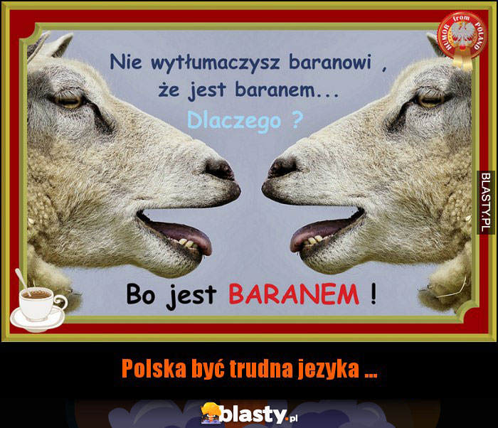 Baran