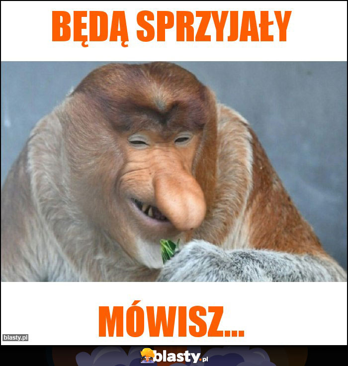 Będą sprzyjały