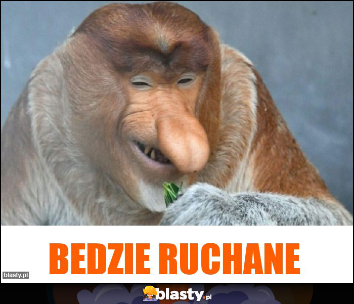 Bedzie ruchane