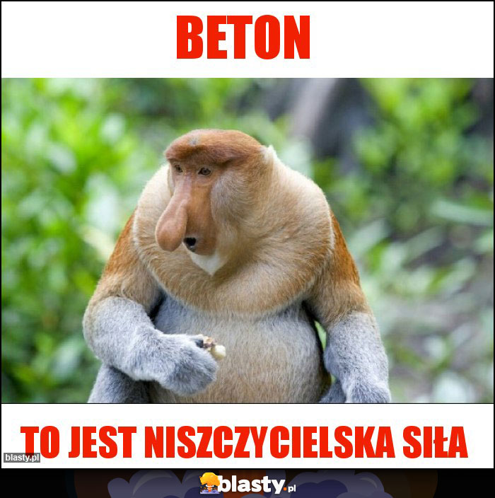 BETON