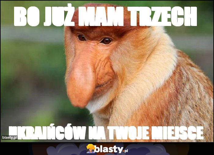 Bo już mam trzech