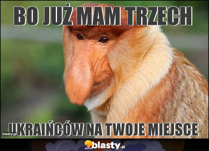 Bo już mam trzech