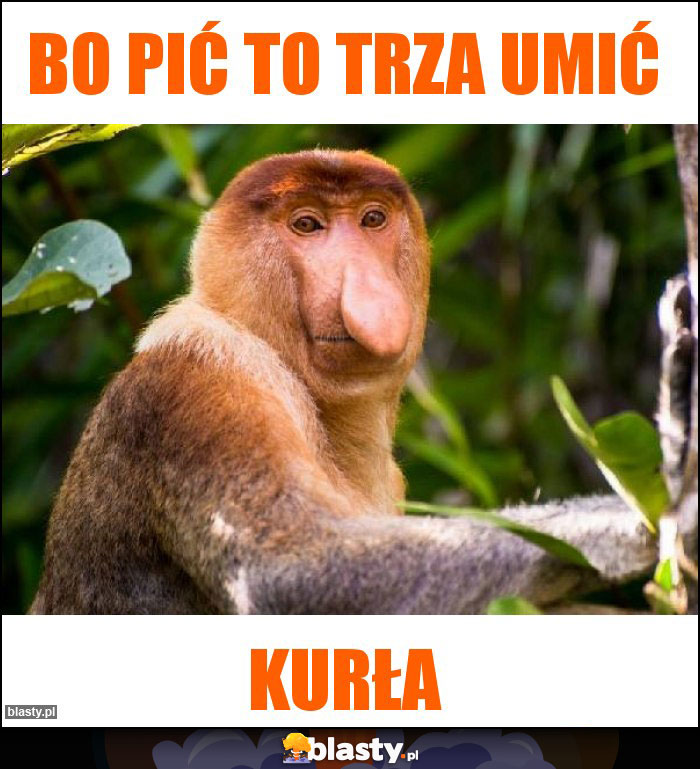 Bo pić to trza umić