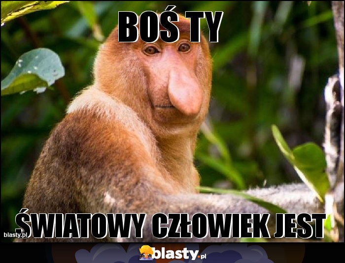 Boś Ty