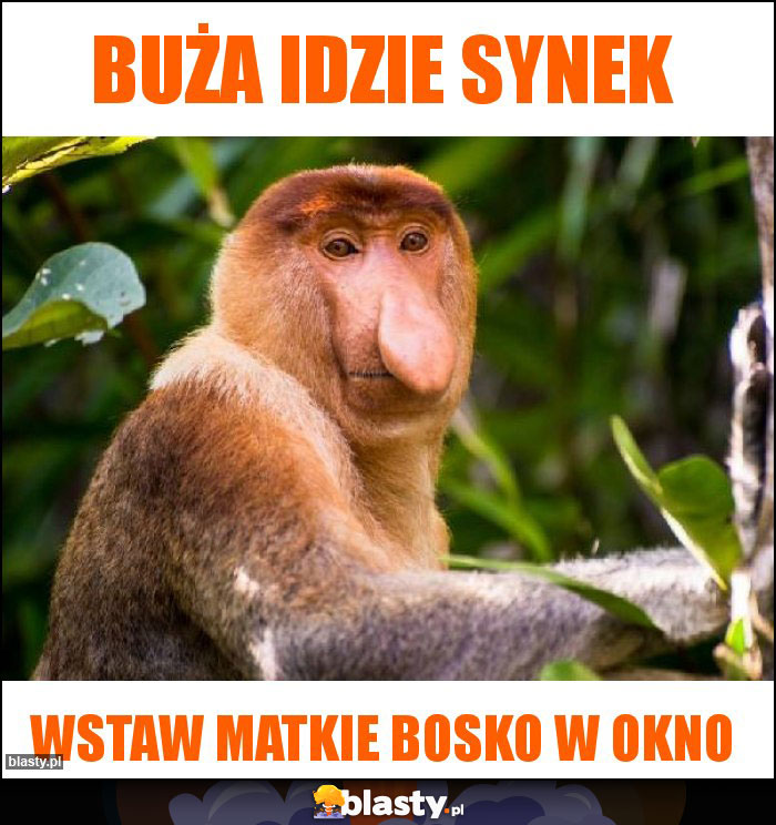 Buża idzie synek