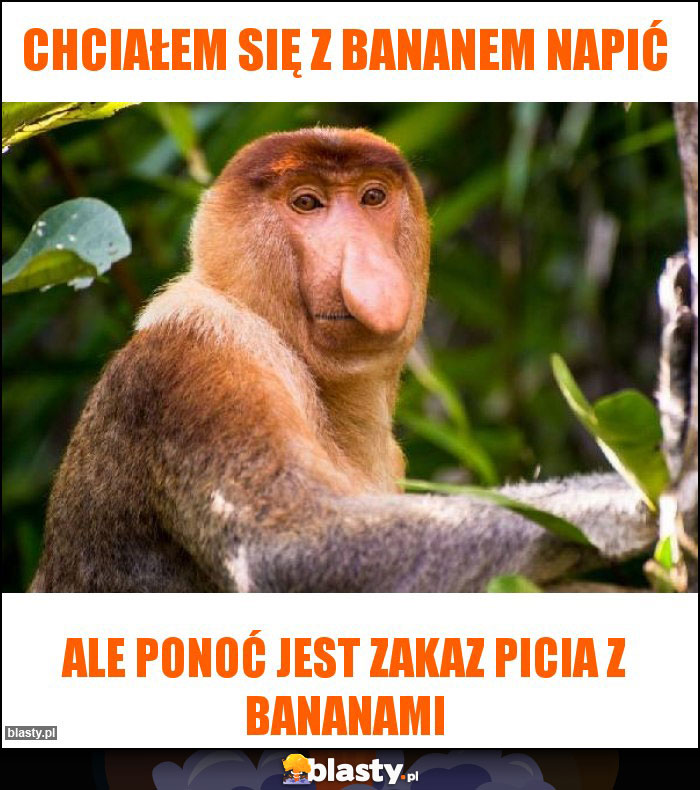 Chciałem się z Bananem napić