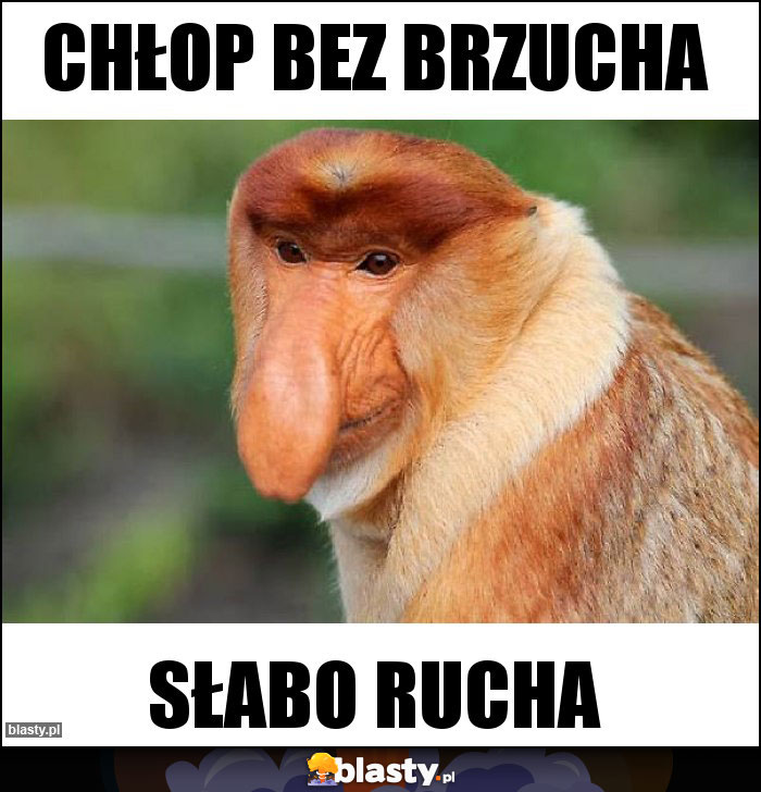 CHŁOP BEZ BRZUCHA