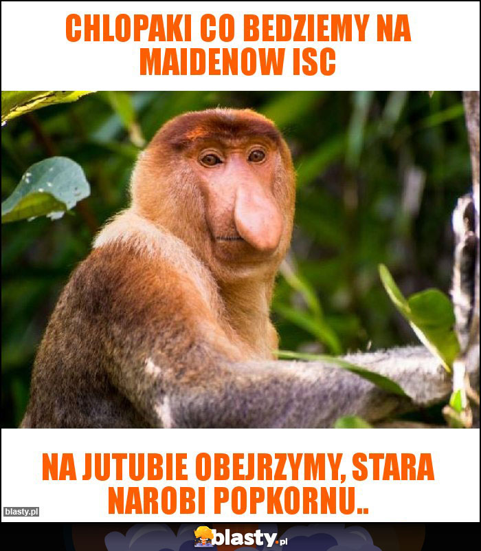 Chlopaki co bedziemy na maidenow isc