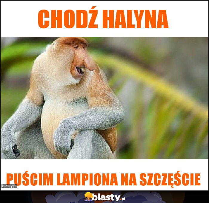 Chodź Halyna