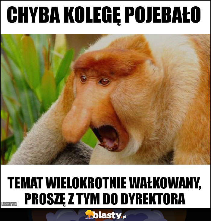 Chyba kolegę pojebało