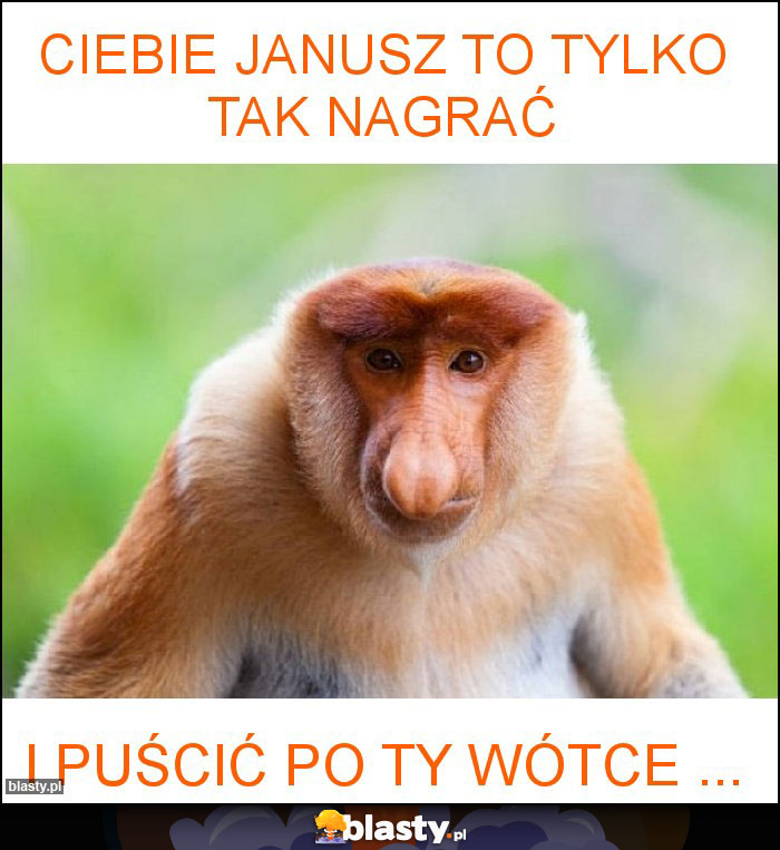 Ciebie Janusz to tylko tak nagrać