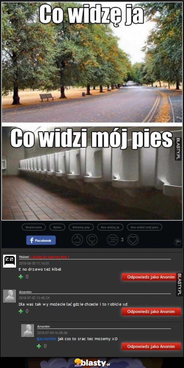 Ciekawa sekcja komentarzy