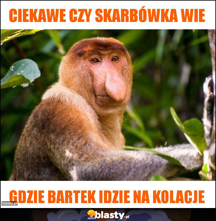 Ciekawe czy Skarbówka wie