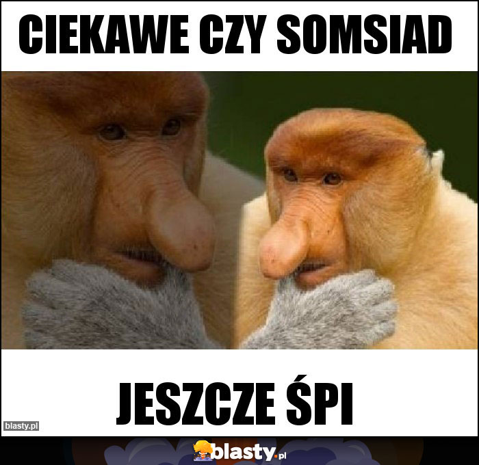 Ciekawe czy somsiad