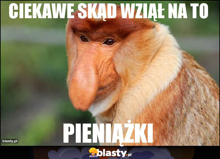 Ciekawe skąd wziął na to