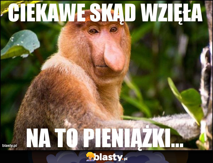 ciekawe skąd wzięła