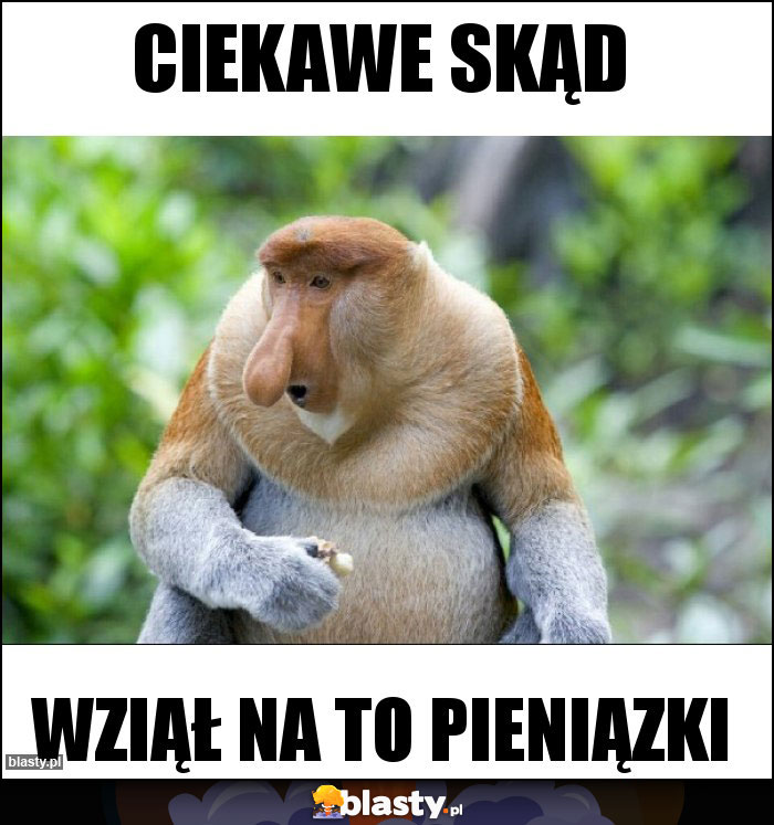 Ciekawe skąd