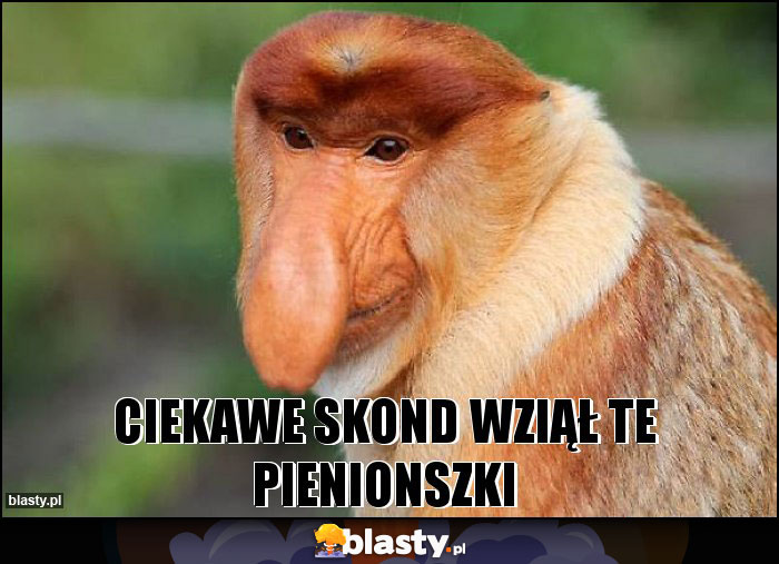 CIEKAWE SKOND WZIĄŁ TE PIENIONSZKI