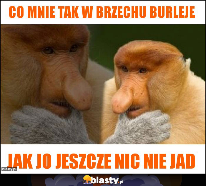 Co mnie tak w brzechu burleje