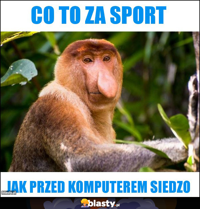 Co to za sport