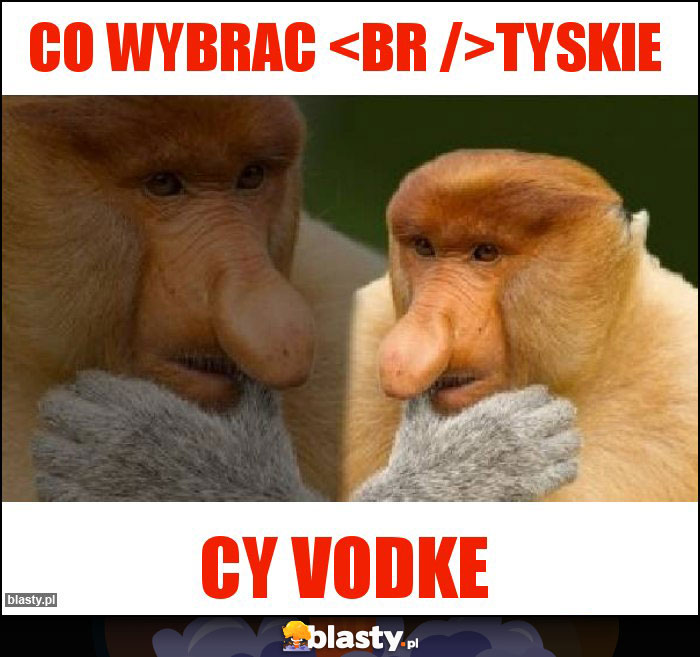 Co wybrac 
Tyskie