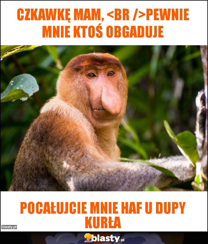 Czkawkę mam, 
Pewnie mnie ktoś obgaduje