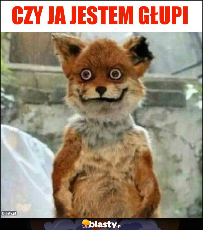 Czy ja jestem głupi