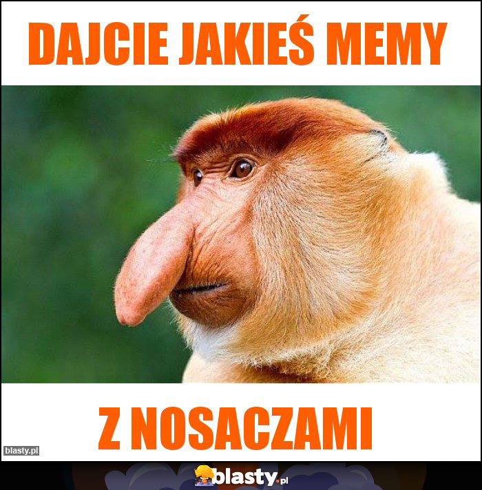 dajcie jakieś memy