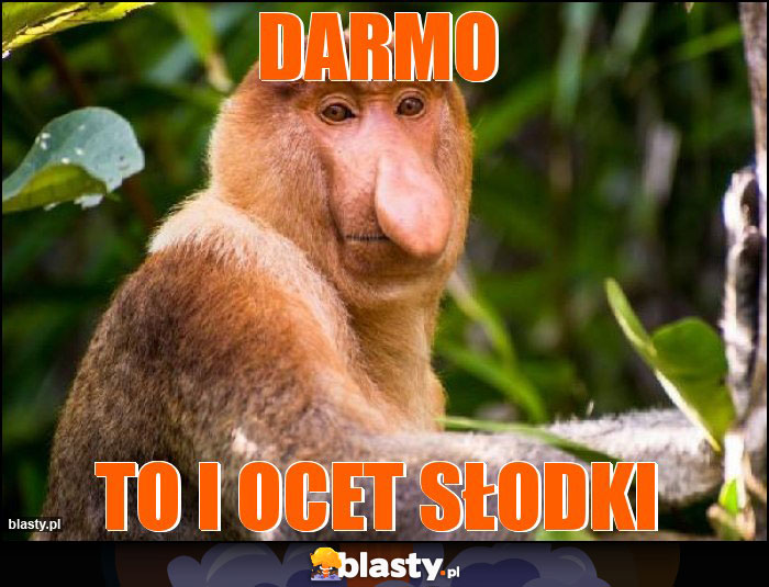 Darmo