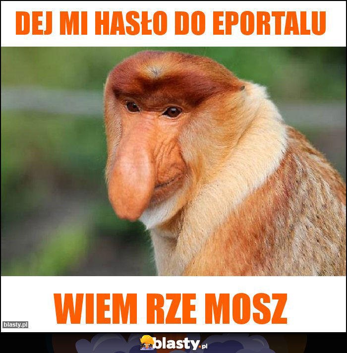 DEJ MI HASŁO DO EPORTALU