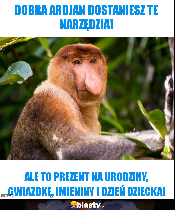 Dobra Ardjan dostaniesz te narzędzia!