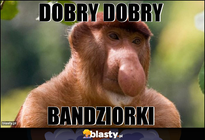 Dobry dobry