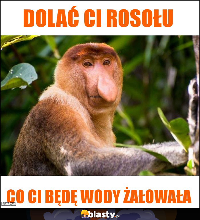 Dolać ci rosołu