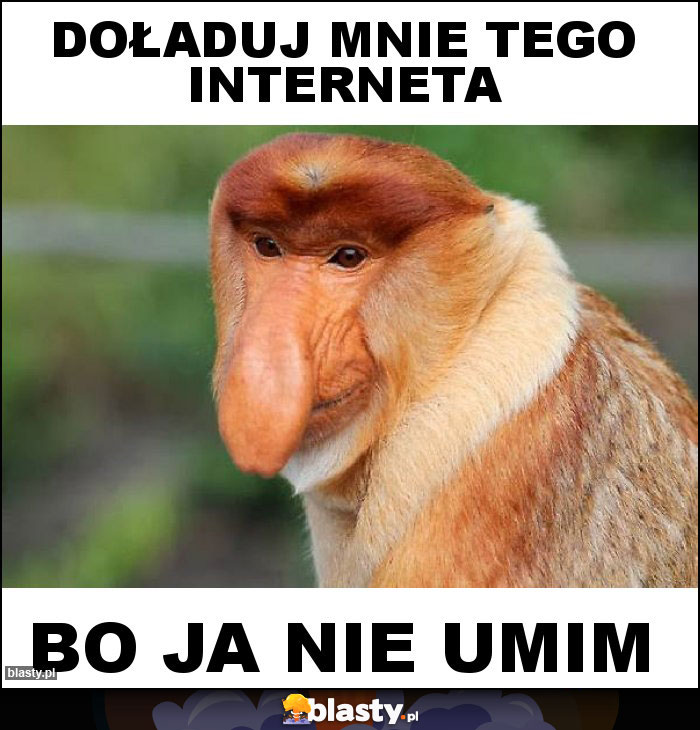 Doładuj mnie tego interneta