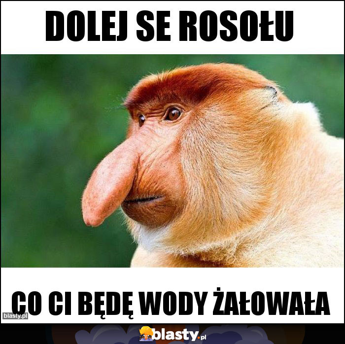 dolej se rosołu