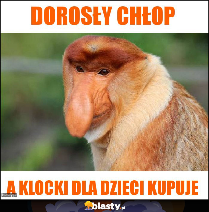 Dorosły chłop