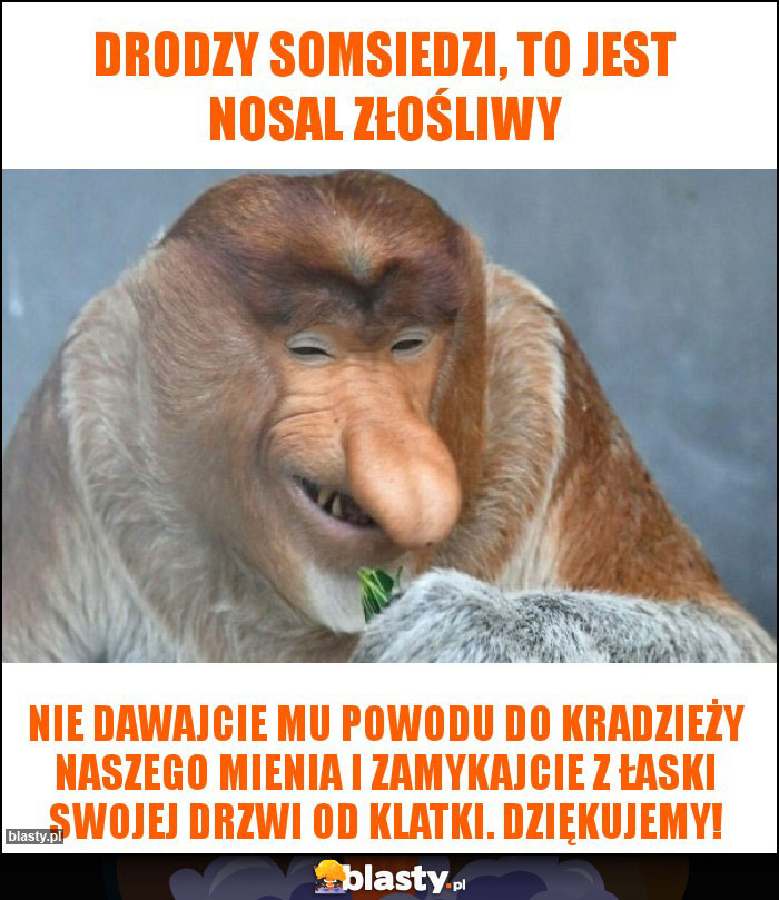 Drodzy Somsiedzi, to jest Nosal Złośliwy