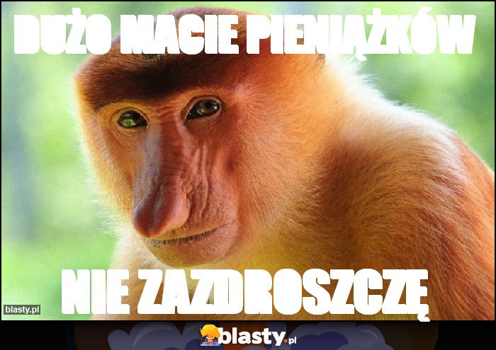 Dużo macie pieniążków