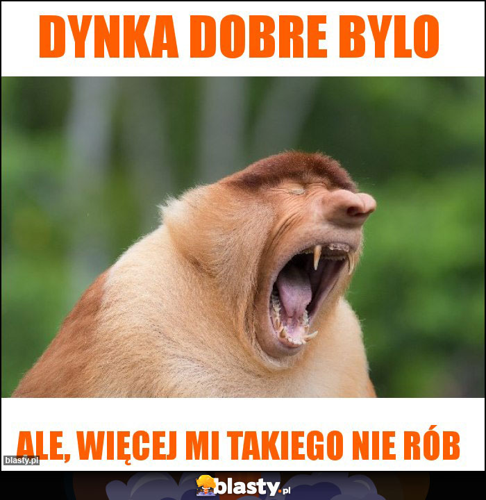 Dynka dobre bylo