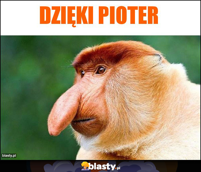 Dzięki Pioter